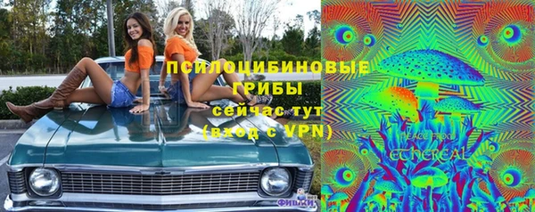 прущий лед Алзамай