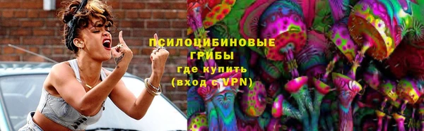 ГАЛЛЮЦИНОГЕННЫЕ ГРИБЫ Аркадак