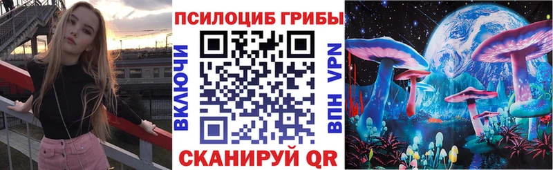 цена наркотик  Курган  Псилоцибиновые грибы ЛСД 