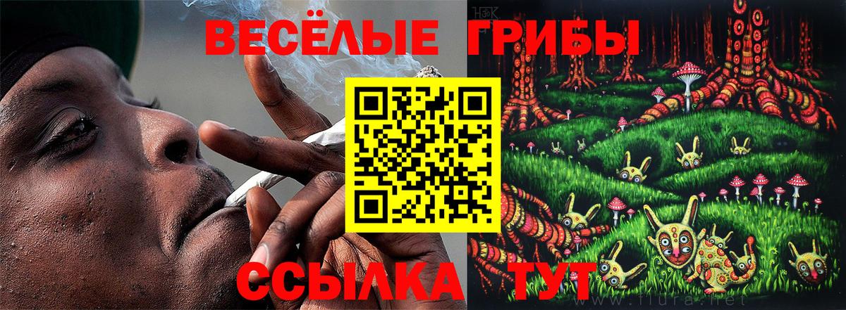Псилоцибиновые грибы прущие грибы  Псилоцибиновые грибы MAGIC MUSHROOMS  Вход с VPN  Курган 